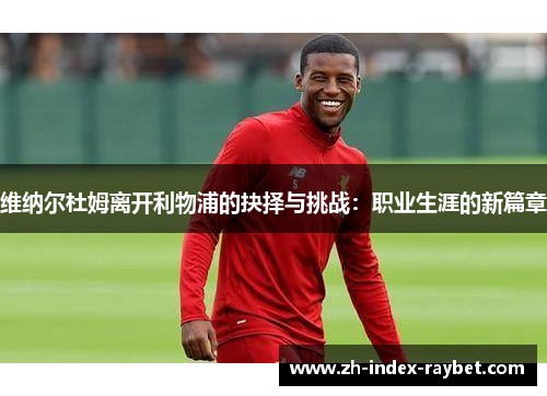 维纳尔杜姆离开利物浦的抉择与挑战:职业生涯的新篇章 维纳尔杜姆离开利物浦的抉择与挑战:职业生涯的新篇章